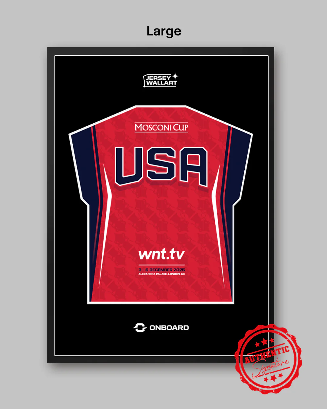 Team USA Signed Mosconi Cup Jersey Wall Art - Image 2